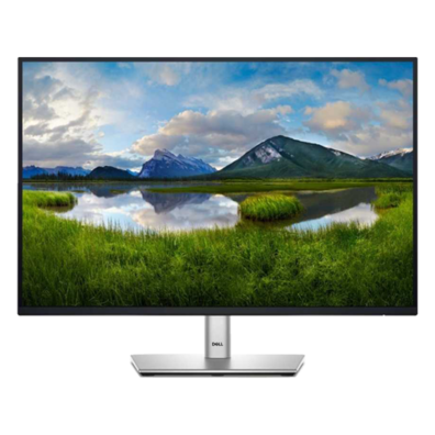 Dell P2425 24 " Monitor | Bite