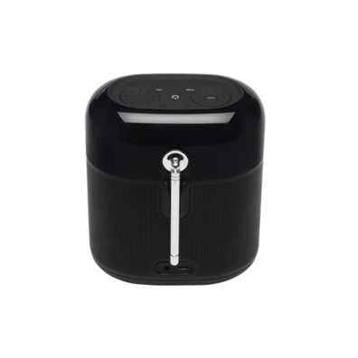JBL Tuner XL Bluetooth Speaker FM Radio (without charger) Black | Bite